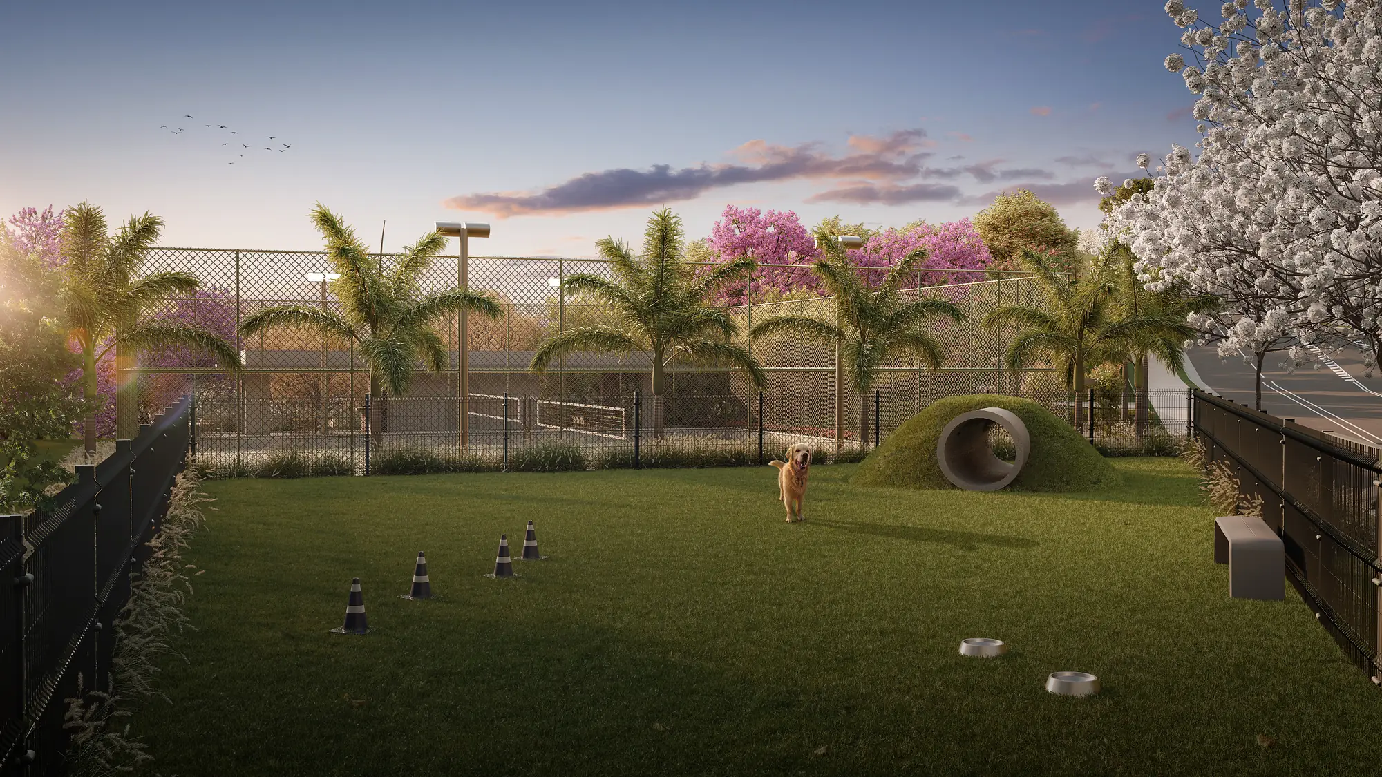 Pet Place — área exclusiva para pets